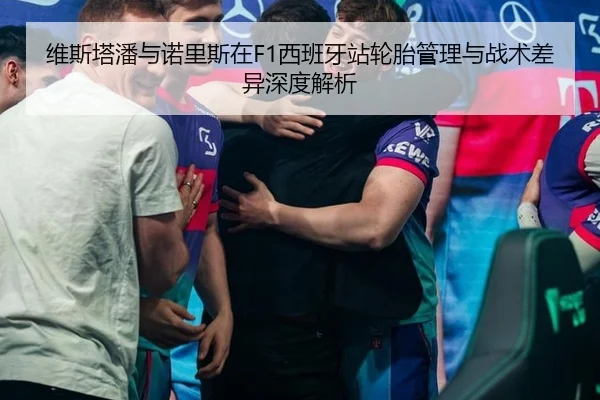 维斯塔潘与诺里斯在F1西班牙站轮胎管理与战术差异深度解析