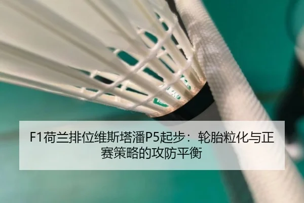 he-lan-pai-wei-wei-si-ta-pan-qi-bu-lun-tai-li-hua-yu-zheng-sai-ce-lve-de-gong-fang-ping-heng-2-258.jpg